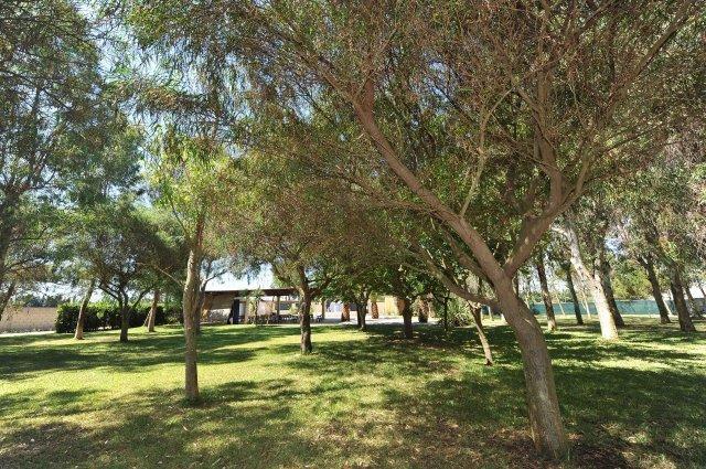 Resort La Brunese توري ديل أورسو المظهر الخارجي الصورة